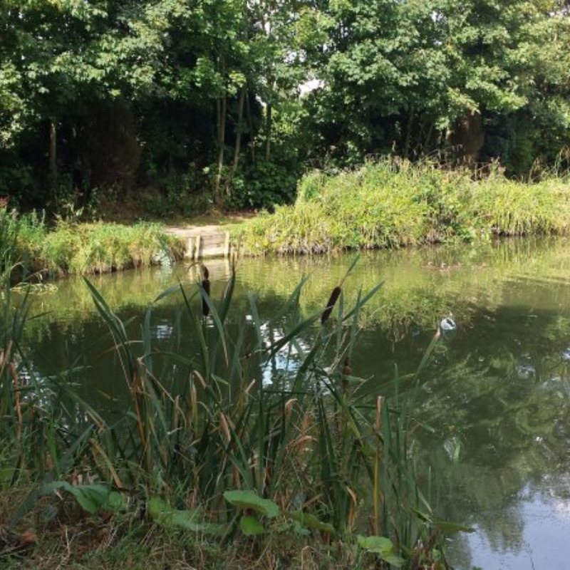 Fishery Pool Bridge Farm North Yorkshire